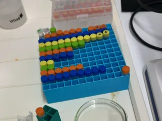 eppendorfs box 