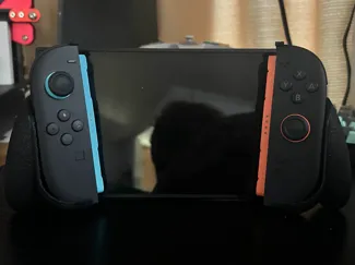 (Nintendo Switch 2) Joycon 2 Individual Grips