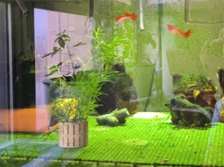 水草定植篮 aquatic plant planting basket