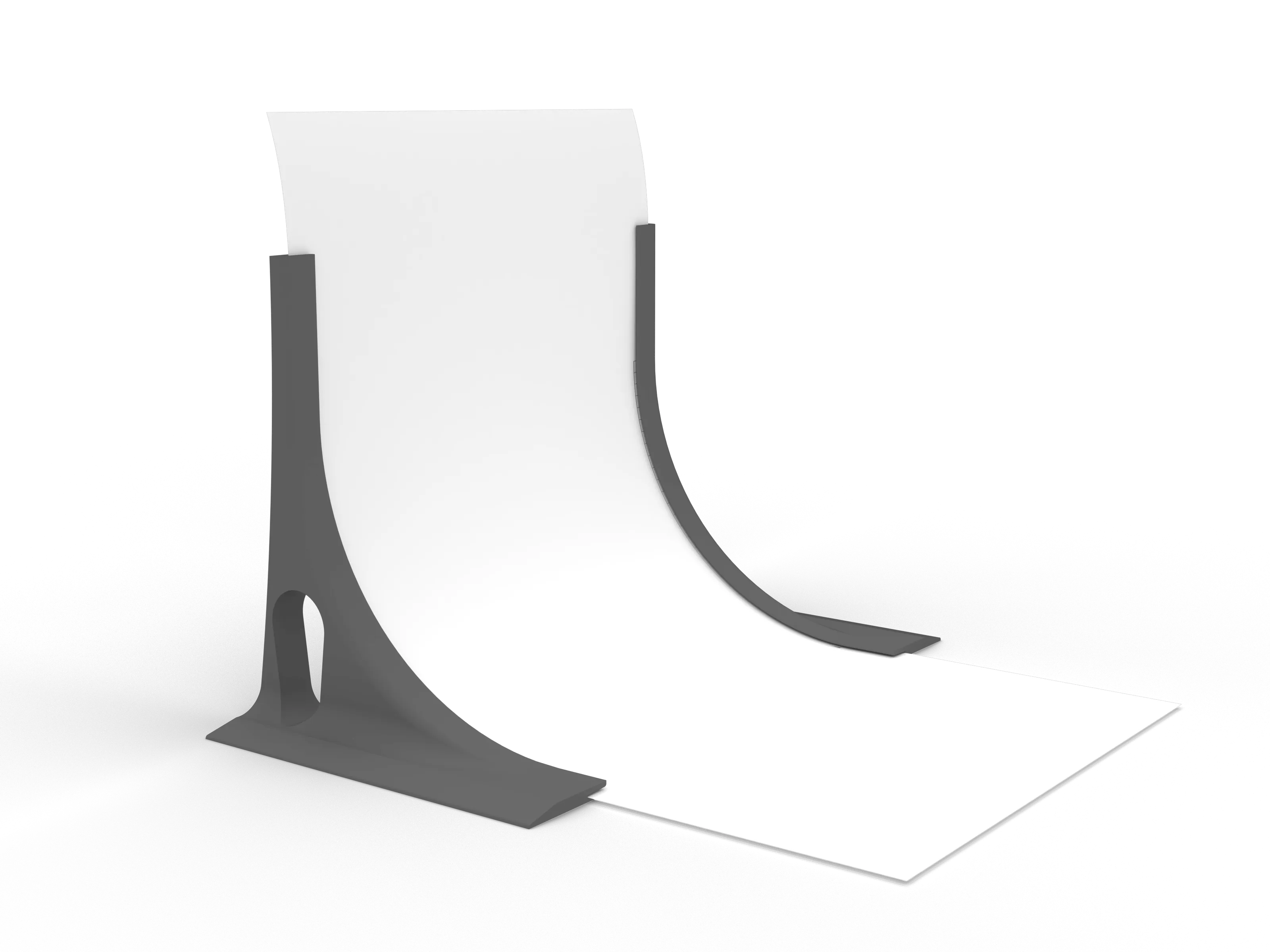 3D Rendering of the model