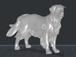Cachorro Golden
