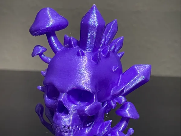 https://makerworld.bblmw.com/makerworld/model/DSM00000001533889/design/2025-06-19_660997fa250578.jpeg