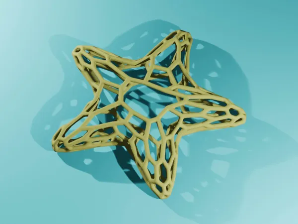 Étoile de mer style Voronoï