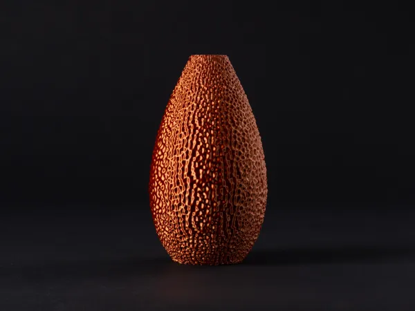 https://makerworld.bblmw.com/makerworld/model/DSM00000001534618/design/2025-06-20_b7d6f44368af1.jpg