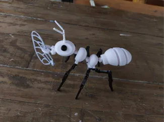 ant 1