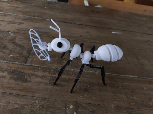 https://makerworld.bblmw.com/makerworld/model/DSM00000001535733/design/2025-06-20_a7a3f9ab61e27.jpg