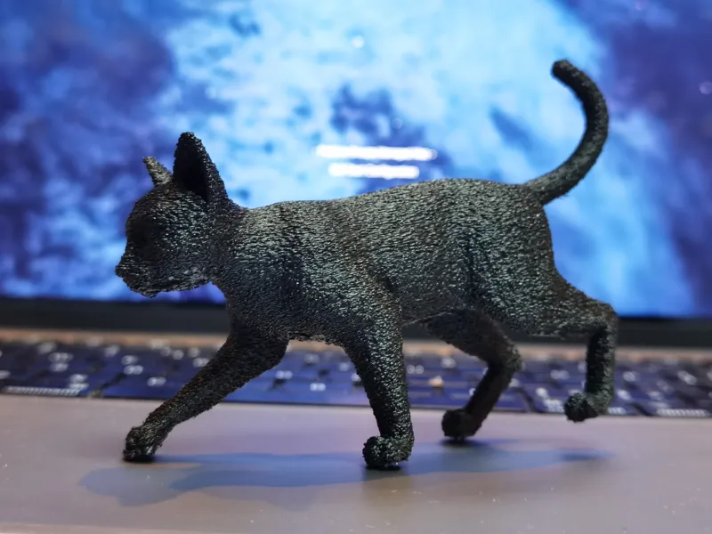 一只行走的黑猫