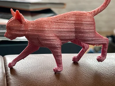 A cat in a knitted outfit