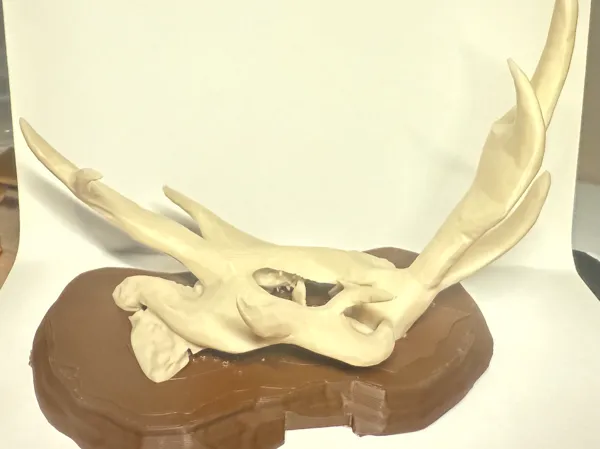 https://makerworld.bblmw.com/makerworld/model/DSM00000001536592/design/2025-06-20_d4fe0a1181f428.jpeg