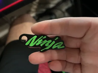 Kawasaki Ninja Key Chain