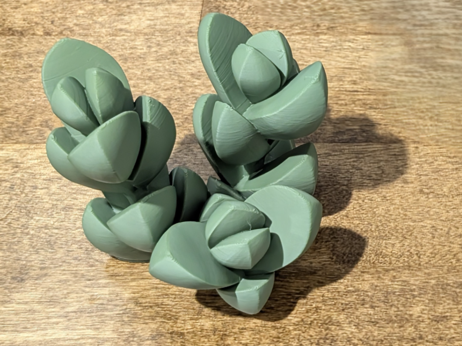 [Single Plate Print] Succulent - Ice Plant by heibo MakerWorld ...