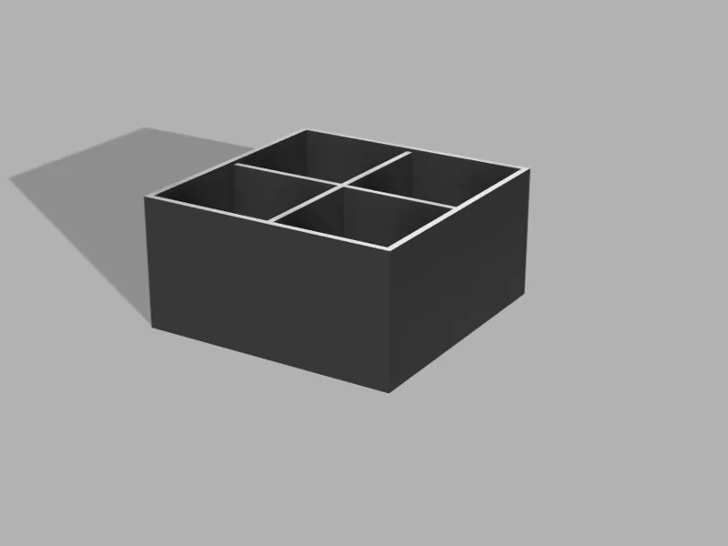 organizer