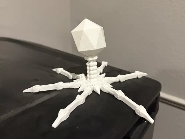 https://makerworld.bblmw.com/makerworld/model/DSM00000001539070/design/2025-06-21_b38c8432c17b8.jpg