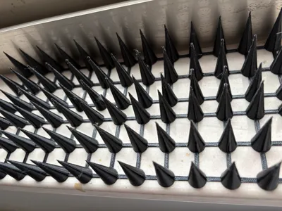Conical Bird Spikes