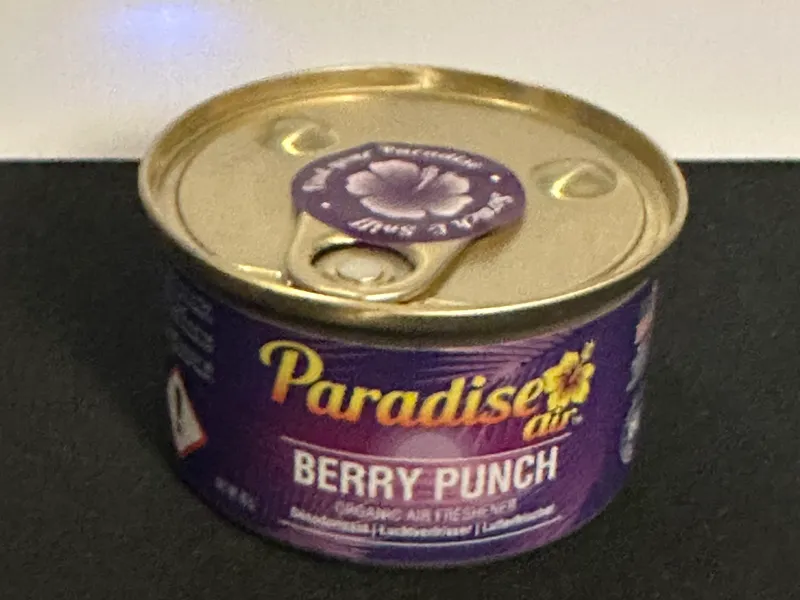 paradise air 