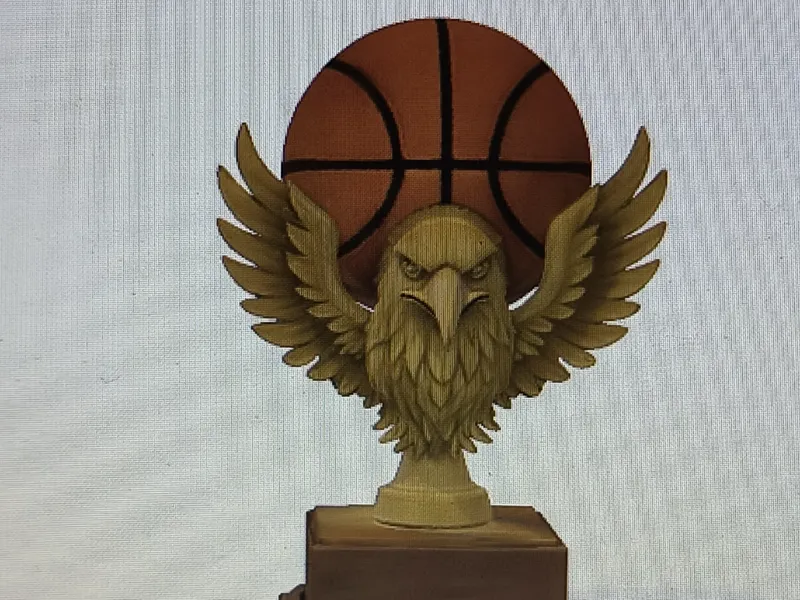 coupe de basket  aigle