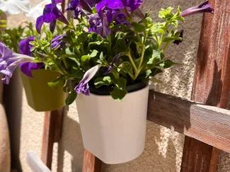 Flower Pot Plant 2mm wall