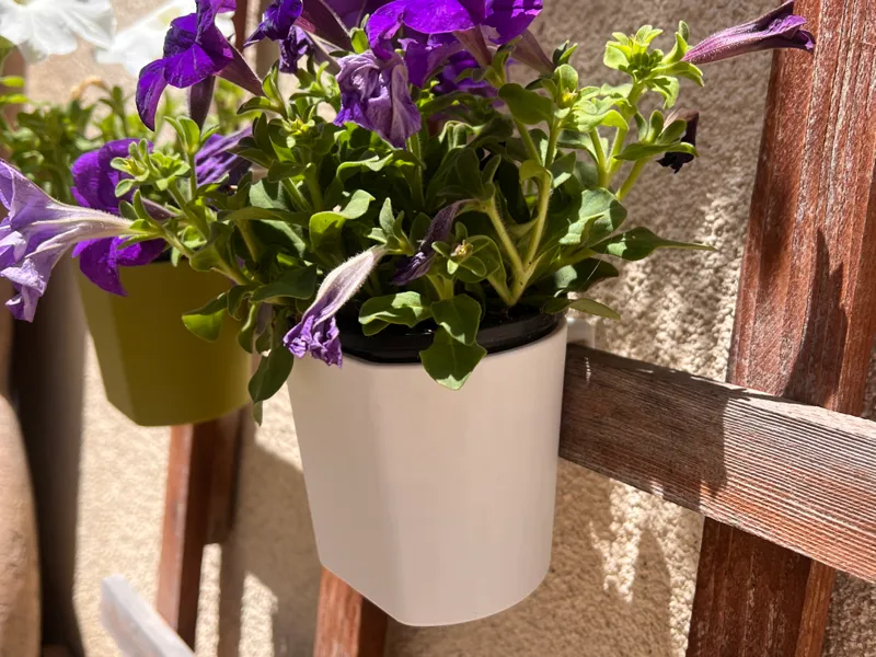 Flower Pot Plant 2mm wall