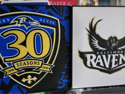 ravens bird