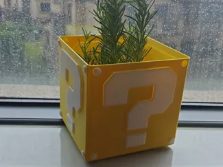 超级马里奥问号花盆