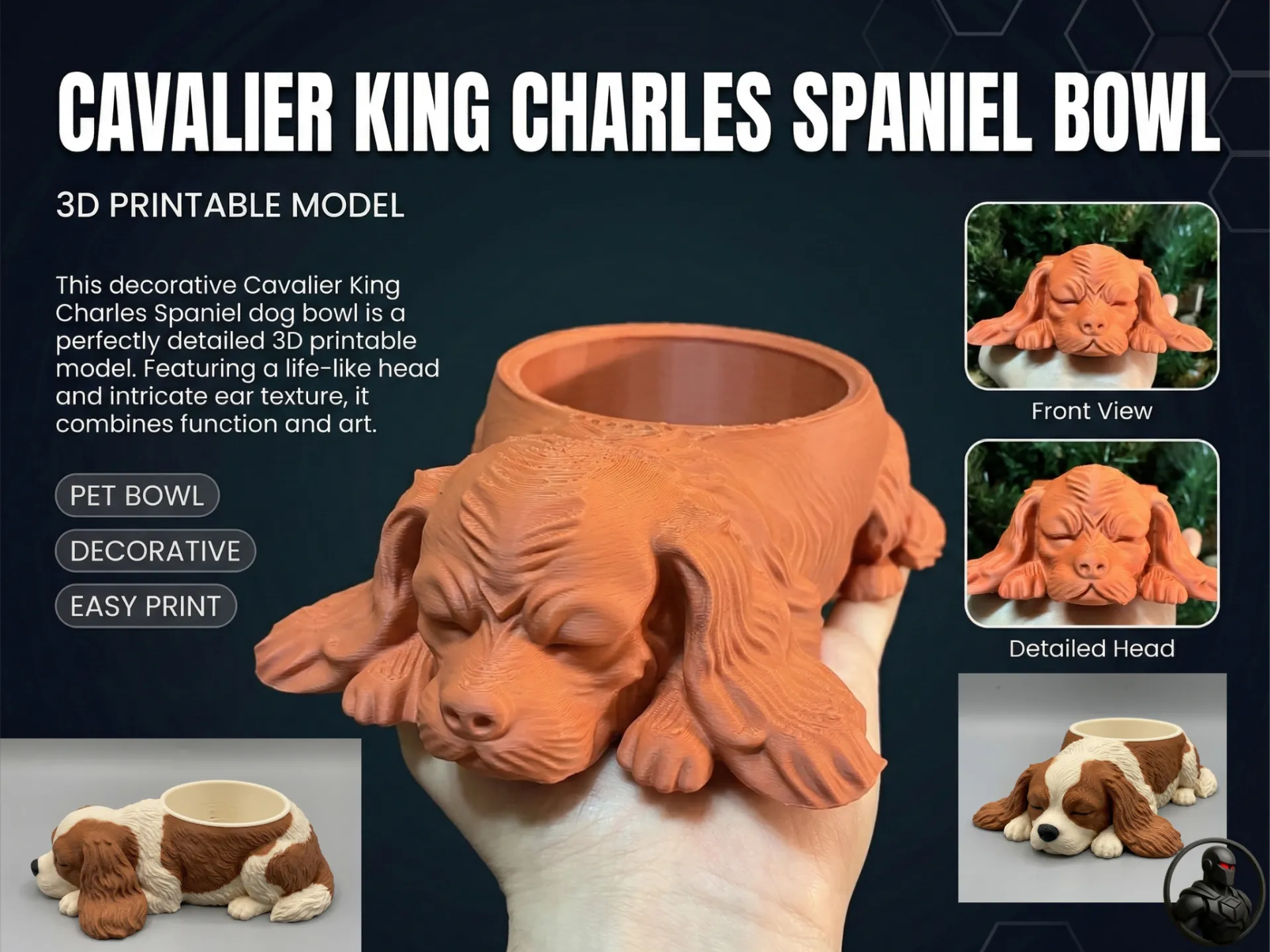 Cavalier King Charles Spaniel - dog bowl