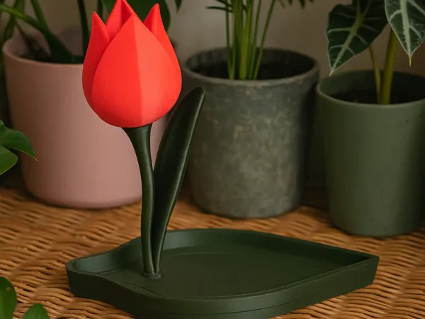https://makerworld.bblmw.com/makerworld/model/DSM00000001543969/design/2025-06-23_31d38730222818.png
