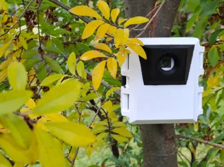Mini Raspberry PI Wildlife Monitor