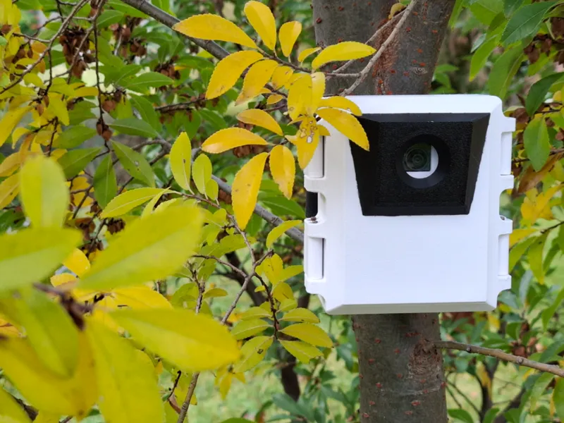 Mini Raspberry PI Wildlife Monitor