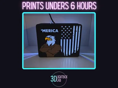 Freedom Flex (3D Lightbox Decor)