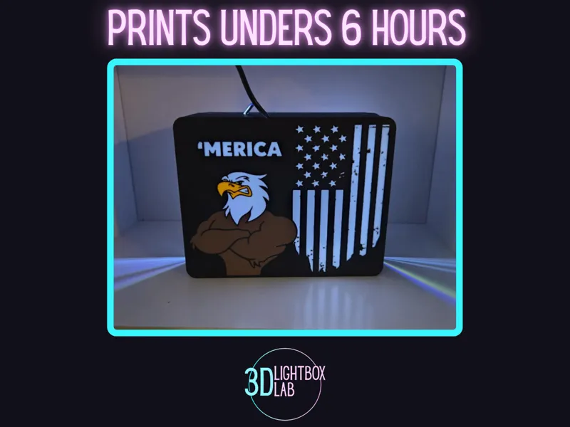 Freedom Flex (3D Lightbox Decor)