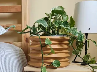 Plant Pot - Geometric