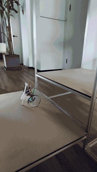 弹跳小车
