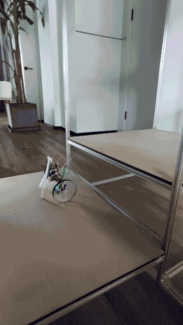 弹跳小车