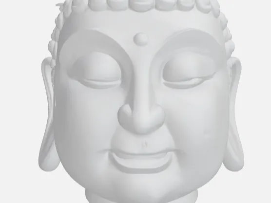Buddha head planter