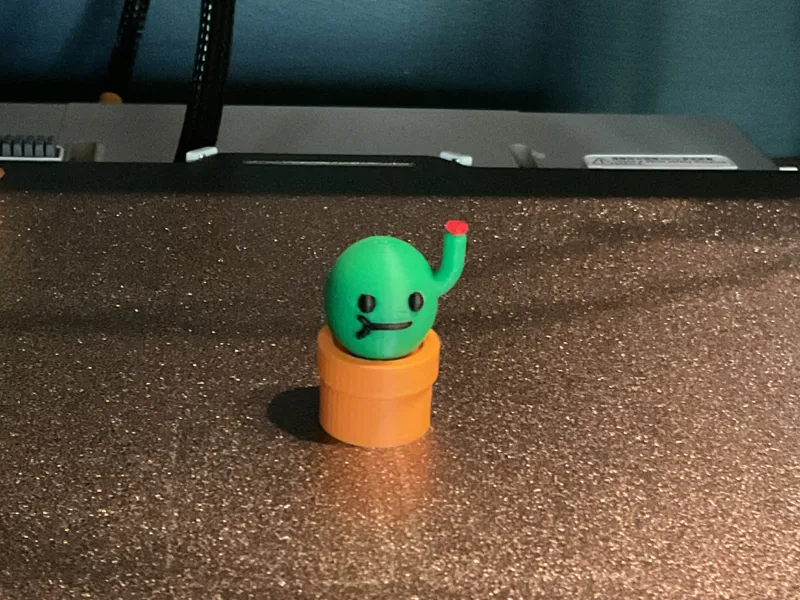 Happy Cactus Pocket Plant