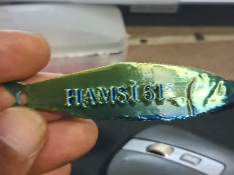 trabzon  hamsi