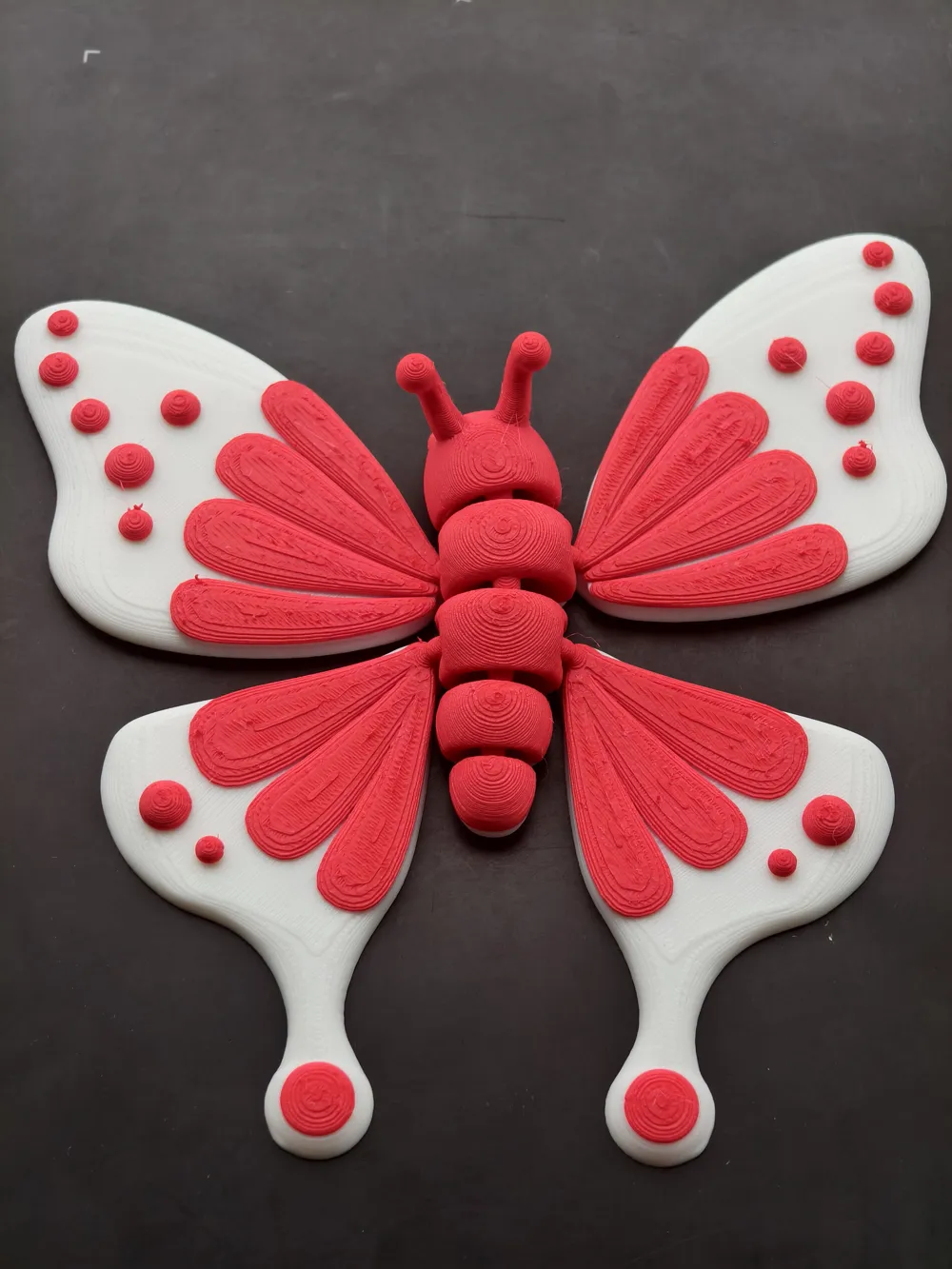 Sample Buttefly Ref Magnet Design Butterfly Refrigerator Magnet, Articulated, 4X2MM Magnet by 像素 ...