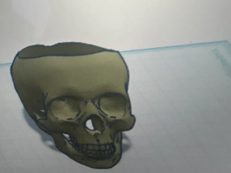 JOSH SKULL