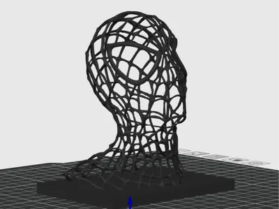 Spiderman webface