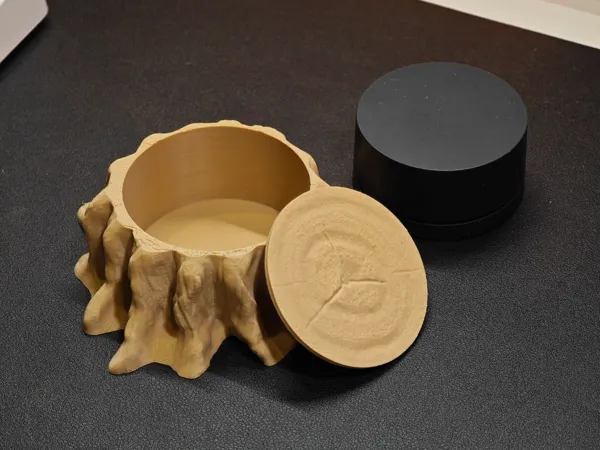 https://makerworld.bblmw.com/makerworld/model/DSM00000001555290/design/2025-06-27_bc0cbc8c484eb.jpg