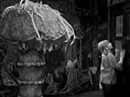 DOCTOR WHO FUNGOID