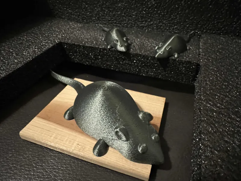Fat Flat Rat