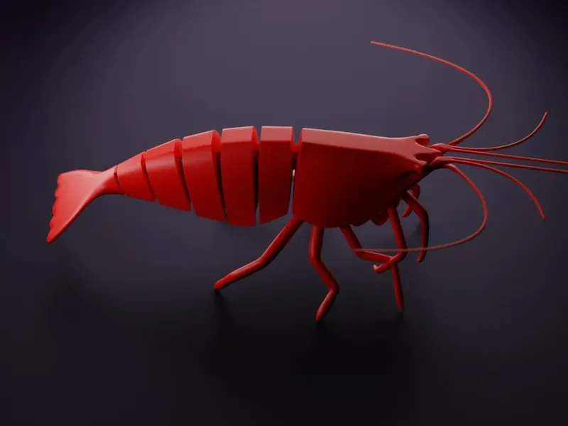 crevettes 