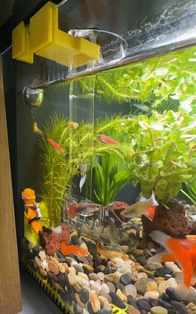 This elegantly resolves the issue of fish food scattering and polluting the water in Xiaomi fish tanks, facilitating observation of the fish feeding