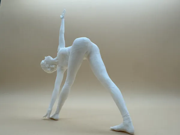 https://makerworld.bblmw.com/makerworld/model/DSM00000001559462/design/2025-06-28_81f5c6b471adf8.jpg