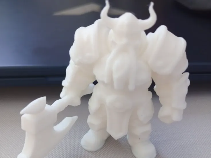 Viking warrior