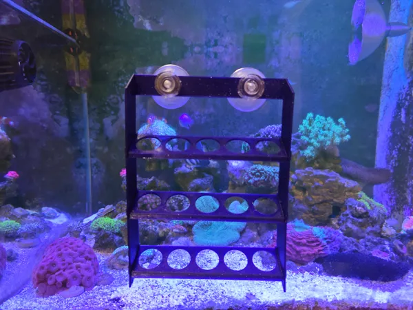 https://makerworld.bblmw.com/makerworld/model/DSM00000001560653/design/2025-06-29_6f489157c3ce5.jpg