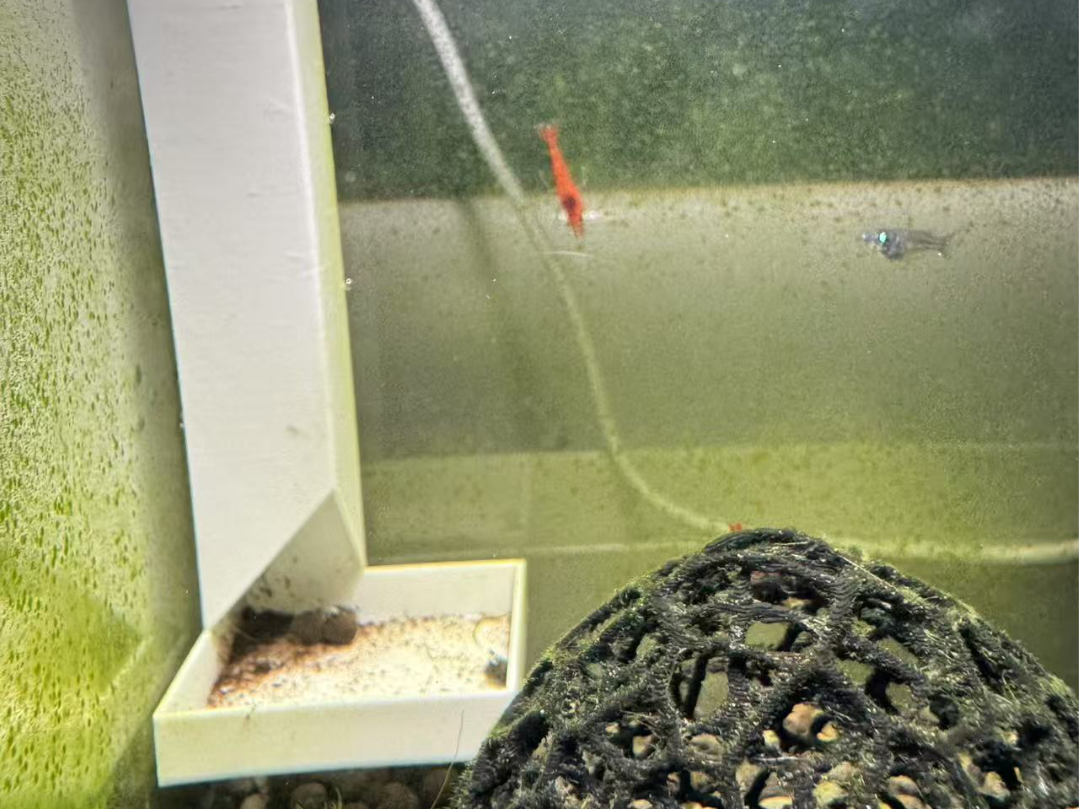 鱼缸虾缸喂食器