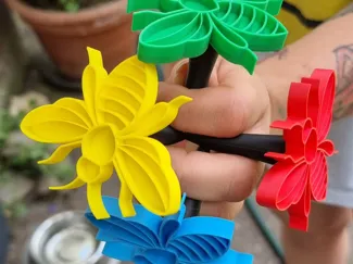 Insekten_Tränke