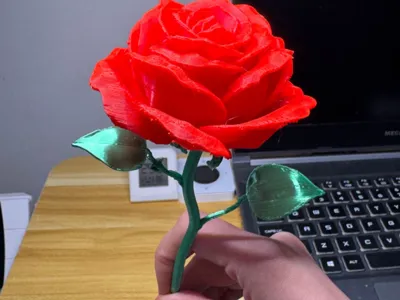 Nightlight True Love Rose